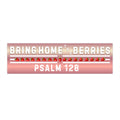 Bumper Sticker - BHtB PSLM 128 WHT w/ SB - ROSE GOLD